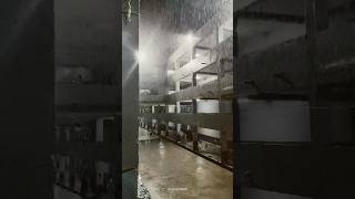 Chennai la rain started☔️ 06112024 chennai chennairains omr sathyabama rainyday trending [upl. by Kinchen]