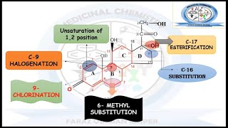 Structure Activity Relationship SAR of Glucocorticoids amp Mineralocorticoids  MEDICINAL CHEMISTRY [upl. by Nauquf]