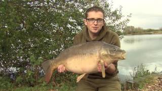 Korda Masterclass 2  Big Hit Fishing [upl. by Crisey]