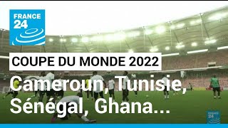 Coupe du monde de football 2022  Tunisie Maroc Cameroun Ghana et Sénégal qualifiés [upl. by Chloe]