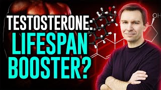 The Lifespan Link Does Testosterone Extend Life Dr David Sinclair Explains [upl. by Ewens]