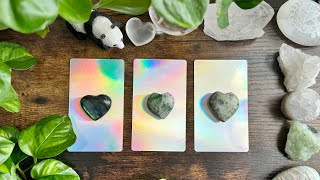 How you think they feel VS How they actually feel 🤔🦋🌈💕🙈🥰 Pick a Card Reading 🥰🙈💕🌈🦋🤔 [upl. by Winfrid790]