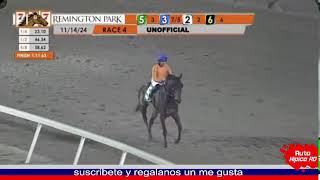 hipismo en vivo 141124 [upl. by Packston856]