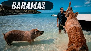 BEST THINGS To Do In EXUMA Bahamas [upl. by Herra500]