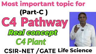 C 4 plant l Photosynthesis for CSIRNET l Dark reaction l Photosynthesis for GATE exam I C4 cycle [upl. by Ermina]