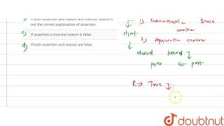 Assertion  Pneumotaxic centre is situated in Pons Reason It can regulate the [upl. by Morven]