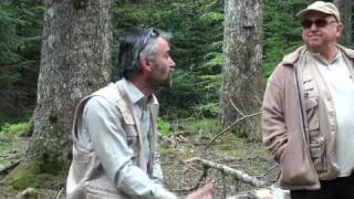 les associations de chasseurs de grand gibier du Gard et de la Lozère en formation dans lAigoual [upl. by Junina]