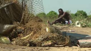 Conférence internationale pour la sauvegarde du lac Tchad [upl. by Ttreve]