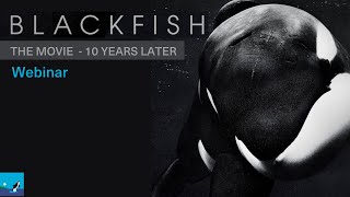 Blackfish Troubled orcas early history [upl. by Siver]