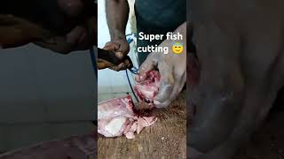 😁 sashimi fish cuting susi fish fishcuttingskills fishing srilankafishing [upl. by Bodi603]