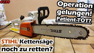 Kettensäge inkontinent  Stihl E14 C reparieren  Kette schärfen  Mr Moto [upl. by Neomah]