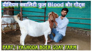 P1 Extreme Quality Full Blood Boer collection at Yashoda Boer Goats Farm Paal Maharashtra [upl. by Cuthbert]