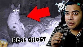 Dont Watch These TikTok Ghost Videos Unless Youre Brave Enough [upl. by Dawes]