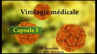 Virologie médicale structure et classification des virus Capsule 3 [upl. by Brezin]