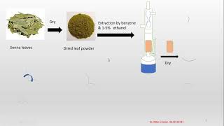 Isolation and identification of Sennoside [upl. by Llewsor]