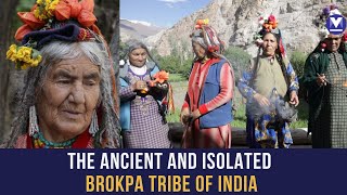 High in the Himalayas The isolated Brokpa people of Ladakh [upl. by Reagen]