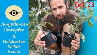 Jungpflanzen umtopfen amp Holzkasten selber bauen DIY Folge 23 [upl. by Stanton9]