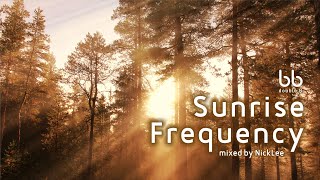 Sunrise Frequency｜Melodic  Progressive House Mix [upl. by Ainafetse47]