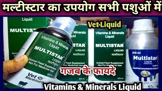 Multistar LiquidVitamins and Minerals oral Vet Animal NutritionDosage usage and Benifit [upl. by Onder]