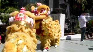 CNY 2010 虎年 醒狮表演 （初一） [upl. by Uhayile]