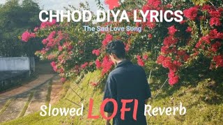 Chhod Diya Lyrics  The Sad Love Song  slowedLofiReverb [upl. by Jaffe432]