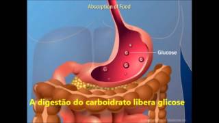 insulina video aula [upl. by Lynde]