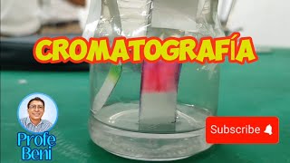 Método de Separación de Mezclas CROMATOGRAFÍA [upl. by Sucul]