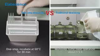 New Dewaxing Solution Makes Experiment Timesaving Nontoxic Environment Friendly [upl. by Sivrad366]