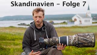 Endlich wieder auf Varanger Dreizehenmöwen in Norwegen [upl. by Sonafets]