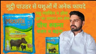 powder moothi  Enhances Productivity ampfertility  इस पाउडर के पशुओं में गजब के फायदे [upl. by Pacifa718]