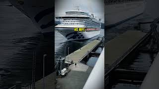 Cruise Ship Panic Ends in Twist [upl. by Ivah826]