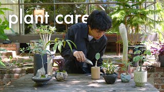 Relaxing Plant Care 🪴 Thoughtful Plant amp Pot Pairings [upl. by Aicak143]