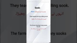 Sook sentences sook meaning English vocabulary [upl. by Aitnis]