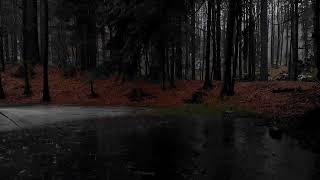 Rainy Day in the Forest Rain and Thunder Sounds Lord of the Rings Music and Ambience [upl. by Waki484]