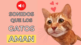 Sonidos que los Gatos Aman 😻 Sonidos para Atraer a tu Gato [upl. by Aarika]