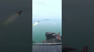 Chinese choppers fire at maritime targets chinamilitary [upl. by Enilreug698]