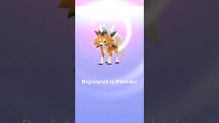 Finally Got Dusk Form Lycanroc in Pokémon Go shorts pokemongo youtubeshorts [upl. by Nelav]