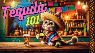 Tequila 101 Beginner Liquor Guide 🌵 [upl. by Cori]