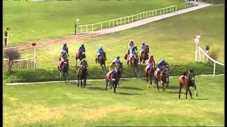 Punchestown Banks Guide [upl. by Htidra53]