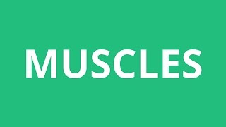 How To Pronounce Muscles  Pronunciation Academy [upl. by Ephraim278]