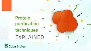 Protein Purification [upl. by Gilbart]