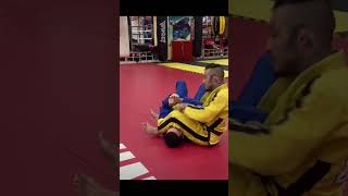 BJJ Basics How Brazilian Jiu Jitsu ACTUALLY Works [upl. by Eirahcaz857]