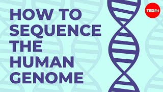 How to sequence the human genome  Mark J Kiel [upl. by Nnaegroeg]