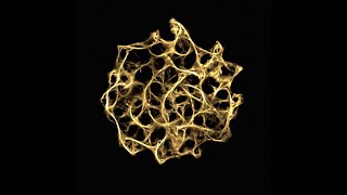 Soothing Slime Mold Physarum Simulation in Blender [upl. by Hpeseoj]