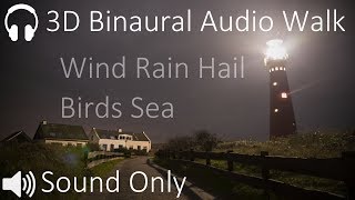 Walking through Wind Rain and Hail 3D Binaural Audio Black Screen [upl. by Notserp655]