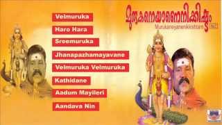 Murukaneyanenikkishtam  Devotional Song  Malayalam [upl. by Ardnwahs806]