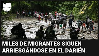 Migrantes se arrepienten de cruzar la selva de Darién para llegar a EEUU quotNos robaron todoquot [upl. by Dexter]