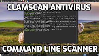 Clamscan Antivirus Command Line Scanner [upl. by Yanehs665]