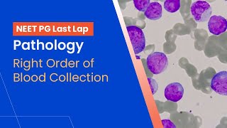 NEETPG Prep  Pathology Right Order of Blood Collection by Dr Ranjana Ranade [upl. by Ryann409]