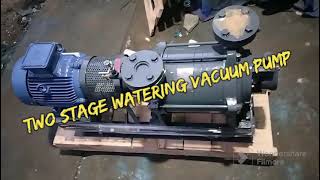 STW  TWO STAGE WATERING VACUUM PUMP [upl. by Farver392]